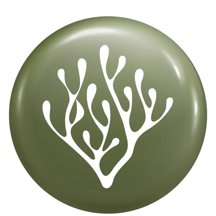 Pure seaweed icon: white seaweed frond on a glossy olive circular badge